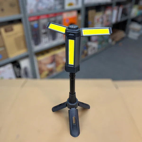 Adjustable FloodLight